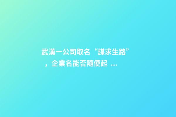 武漢一公司取名“謀求生路”，企業名能否隨便起？